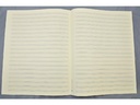Notenpapier Großquart - 20 linig