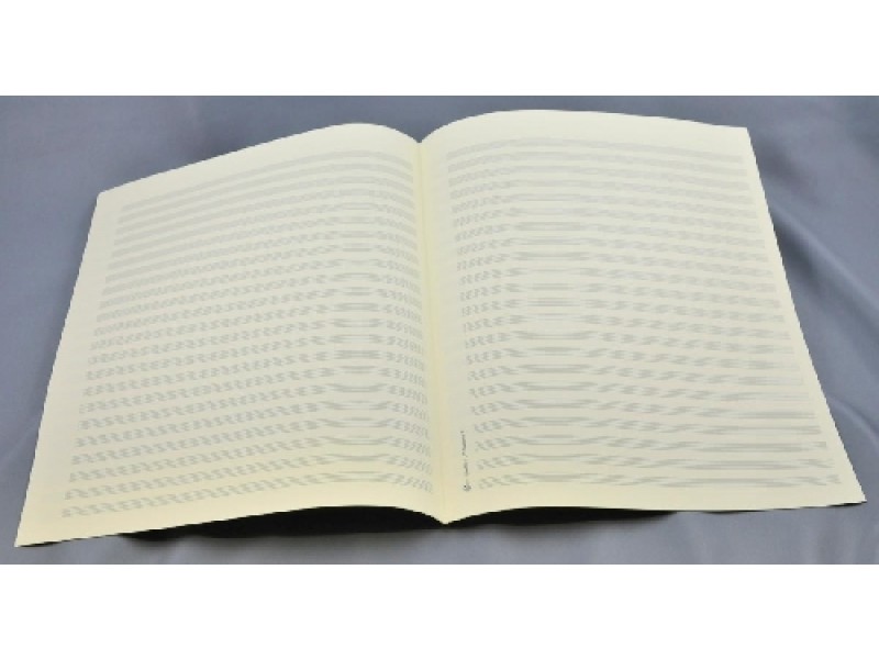 Notenpapier Großquart - 22 linig