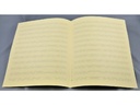 Notenpapier Star-Matt - 12 Systeme (Kopisten-Papier)
