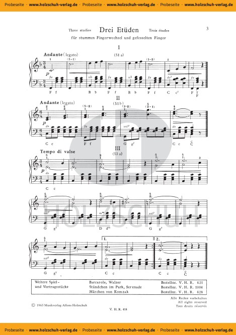 Der Weg zum Akkordeonmeister 4