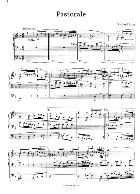 Orgelraritäten zu Weihnachten Band 8