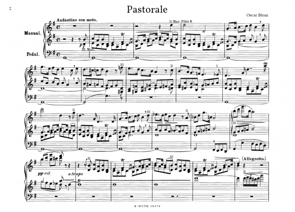 Orgelraritäten zu Weihnachten Band 10