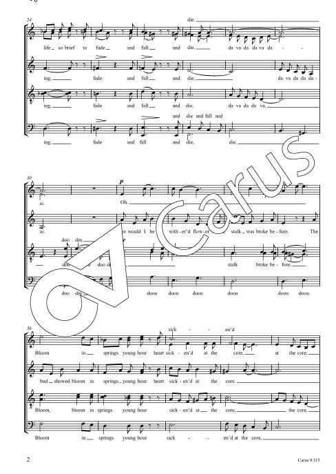 Song from a lonesome soul