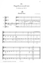 Opera Omnia Vol. 9: Magnificat Prima Parte
