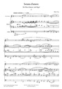 Sonata d'amore (2010)