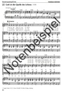 Wurzeln können - Chorbuch / Musikerausgabe (spiralgebunden)