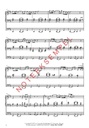 Three Biblical Vignettes from St. John's Gospel op. 80