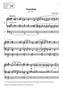 Festliche Prä- und Postludien der deutschen Romantik Band 3