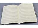 Notenpapier A4 - 12 linig