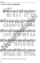 Wurzeln können - Musikerausgabe