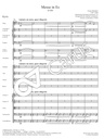 Messe in Es D 950 - Bearbeitung für Kammerorchester
