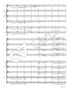 Messe in Es D 950 - Bearbeitung für Kammerorchester