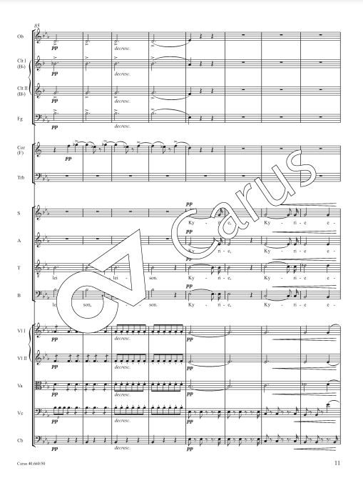 Messe in Es D 950 - Bearbeitung für Kammerorchester