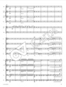 Messe in Es D 950 - Bearbeitung für Kammerorchester