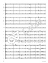 Messe in Es D 950 - Bearbeitung für Kammerorchester