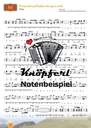 Schwungvolle Wirtshausmusig