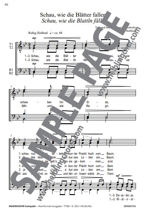 Maierhofer Kompakt - TTBB Großdruck