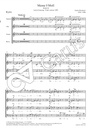 Messe in f-moll, WAB 28