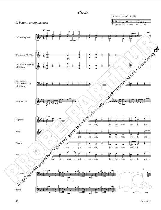 Große Orgelsolomesse, Hob. XXII:4