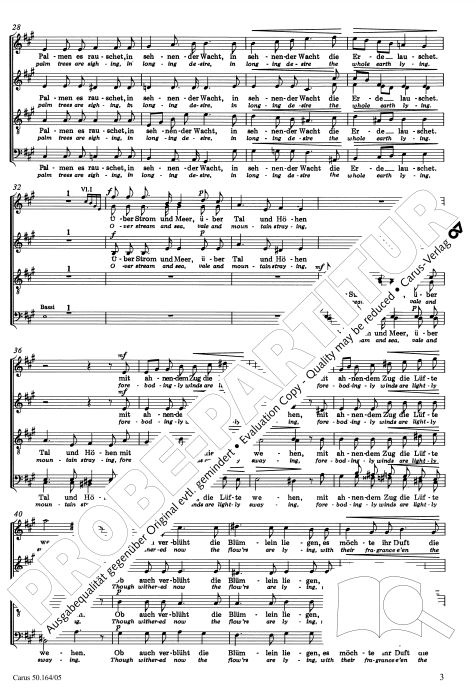 Der Stern von Bethlehem, op. 164