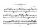 Portugiesische Orgelmusik 1540-1834