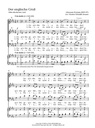 Marienlieder op. 22