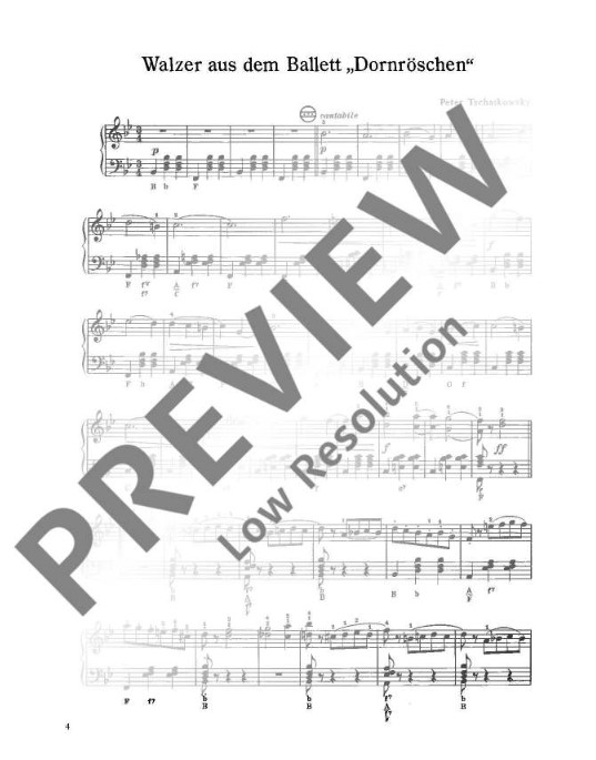 Das große Walzer-Buch