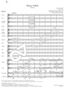 Messe in f-moll WAB 28