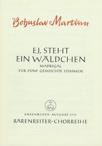 Ej, steht ein Wäldchen