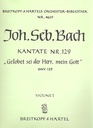 Gelobet sei der Herr, mein Gott, BWV 129