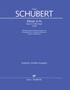 Messe in Es D 950 - Bearbeitung für Kammerorchester