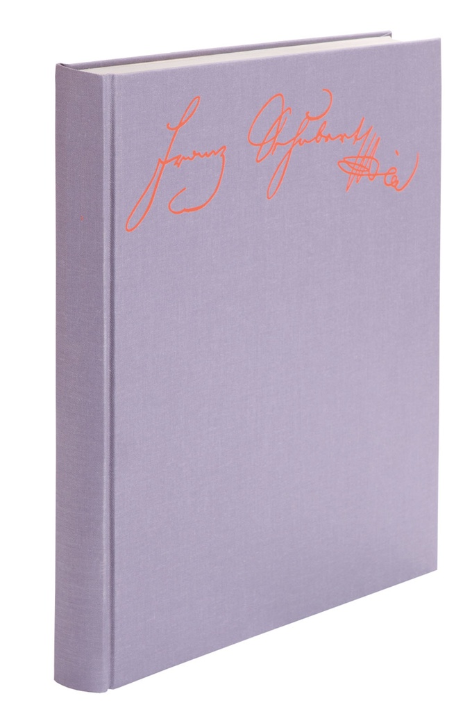 Der Spiegelritter - Neue Ausgabe sämtlicher Werke - Serie II Band 11
