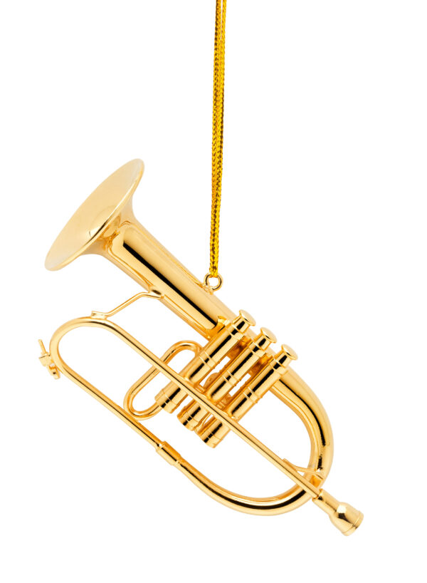 Instrumentenanhänger Flügelhorn