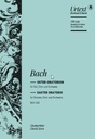 Osteroratorium BWV 249