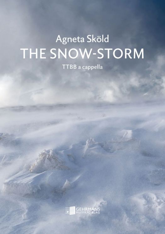 The snow-storm