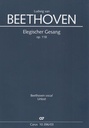 Elegischer Gesang op. 118
