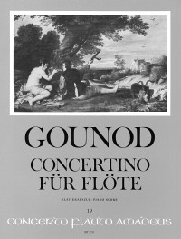 [8849] Concertino