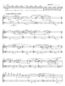 [273160] Mendelssohns Möwen