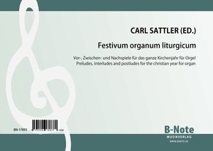 [329482] Festivum organum liturgicum
