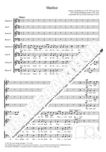 [295468] Drei Lieder nach Texten von Goethe