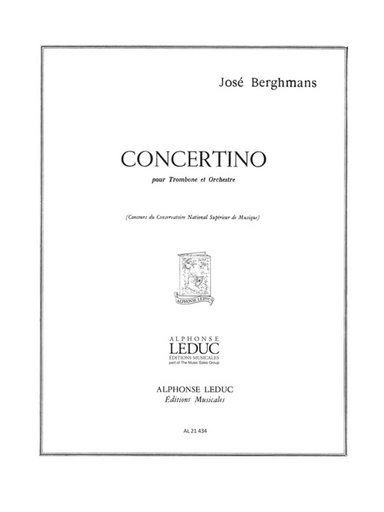 [22953] Concertino