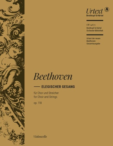 [139323] Elegischer Gesang, op. 118