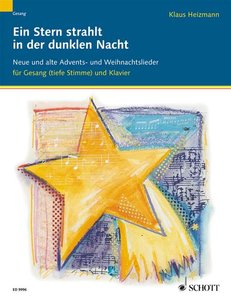 [189231] Ein Stern strahlt in der dunklen Nacht