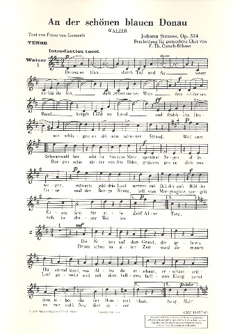 [191524] An der schönen blauen Donau, op. 314
