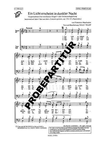 [126616] Ein Licht erschient in dunkler Nacht