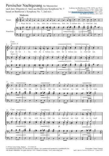 [191757] Persischer Nachtgesang
