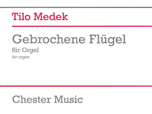 [510920] Gebrochende Flügel