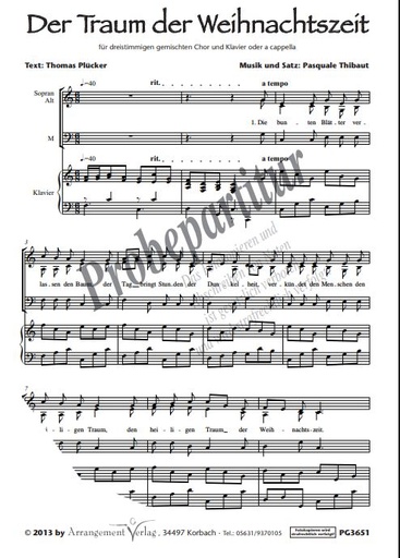 [511055] Der Traum der Weihnachtszeit