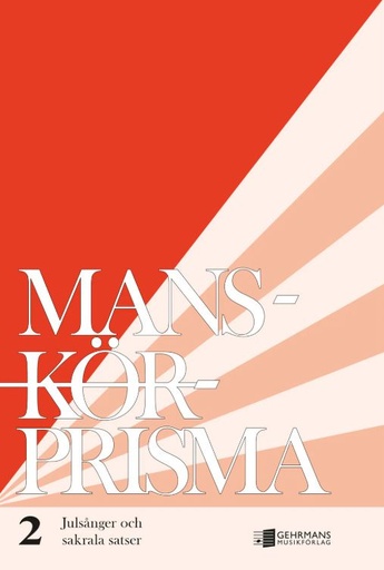 [513037] Manskörprisma 2