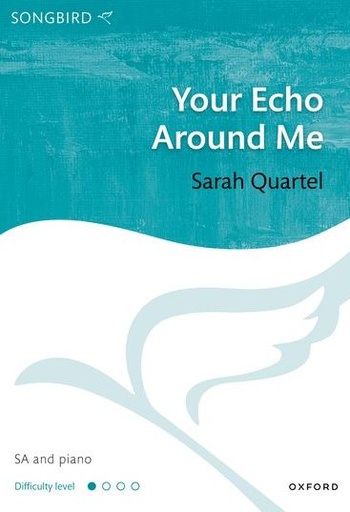 [513313] Your echo around me